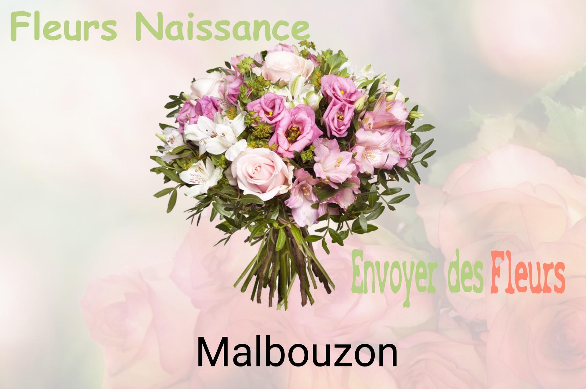 Bouquet de fleurs de naissance livré à Malbouzon